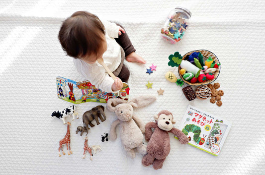 Spotlight on Sustainable Toy Brands: Meet the Makers Behind the Magic